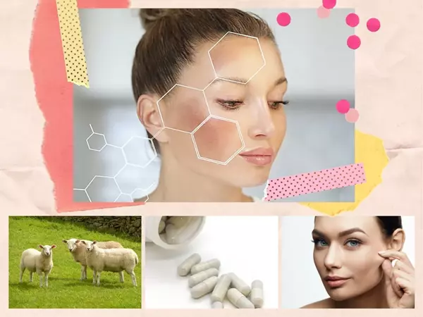 Viên uống nhau thai cừu có tác dụng gì với da và sức khỏe?