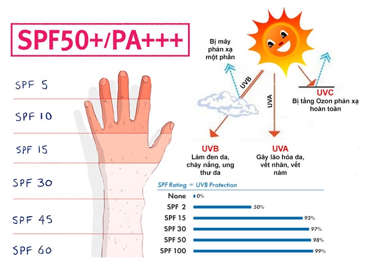 Kem chống nắng SPF 50/SPF 30 có tác dụng chống nắng bao lâu?